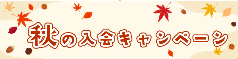 ニュースレター